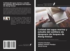 Capa do livro de Calidad del agua marina y estudio del astillero de desguace de buques de Alang-Sosiya 