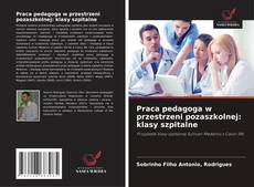 Praca pedagoga w przestrzeni pozaszkolnej: klasy szpitalne kitap kapağı