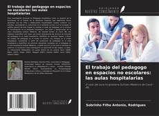 Buchcover von El trabajo del pedagogo en espacios no escolares: las aulas hospitalarias