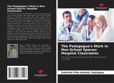 Couverture de The Pedagogue's Work in Non-School Spaces: Hospital Classrooms
