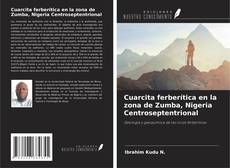 Couverture de Cuarcita ferberítica en la zona de Zumba, Nigeria Centroseptentrional