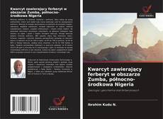 Kwarcyt zawierający ferberyt w obszarze Zumba, północno-środkowa Nigeria的封面