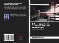 Обложка School councils in Zambezia province, Mozambique