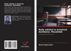 Portada del libro de Rady szkolne w prowincji Zambezia, Mozambik