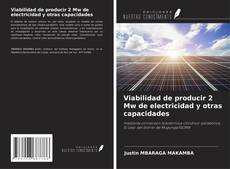 Buchcover von Viabilidad de producir 2 Mw de electricidad y otras capacidades