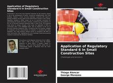 Buchcover von Application of Regulatory Standard 6 in Small Construction Sites