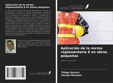 Capa do livro de Aplicación de la norma reglamentaria 6 en obras pequeñas 
