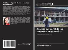 Buchcover von Análisis del perfil de los pequeños empresarios