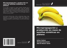 Buchcover von Micropropagación y producción en masa de semillas sintéticas en plátano
