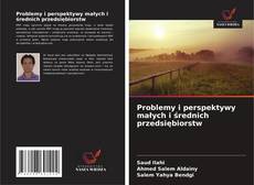 Problemy i perspektywy małych i średnich przedsiębiorstw kitap kapağı