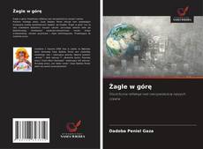 Capa do livro de Żagle w górę 