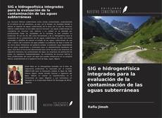 Capa do livro de SIG e hidrogeofísica integrados para la evaluación de la contaminación de las aguas subterráneas 