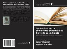 Capa do livro de Contaminación de sedimentos superficiales. Golfo de Suez, Egipto 