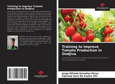 Buchcover von Training to Improve Tomato Production in Ondjiva