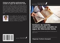 Capa do livro de Síntesis de ladrillo multinutriente soluble en agua de liberación lenta 