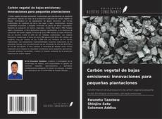 Capa do livro de Carbón vegetal de bajas emisiones: Innovaciones para pequeñas plantaciones 