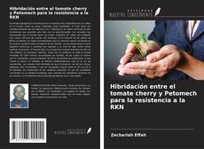 Capa do livro de Hibridación entre el tomate cherry y Petomech para la resistencia a la RKN 