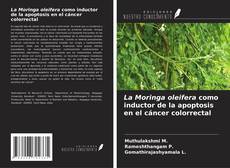 Capa do livro de La Moringa oleifera como inductor de la apoptosis en el cáncer colorrectal 