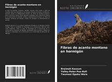 Capa do livro de Fibras de acanto montano en hormigón 