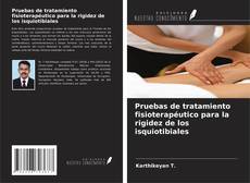 Capa do livro de Pruebas de tratamiento fisioterapéutico para la rigidez de los isquiotibiales 