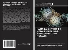 Capa do livro de HACIA LA SÍNTESIS DE METALES HÍBRIDOS, METALOIDES Y NO METALES 