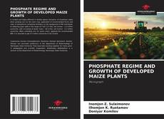 Portada del libro de PHOSPHATE REGIME AND GROWTH OF DEVELOPED MAIZE PLANTS