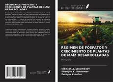 Capa do livro de RÉGIMEN DE FOSFATOS Y CRECIMIENTO DE PLANTAS DE MAÍZ DESARROLLADAS 