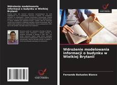 Wdrożenie modelowania informacji o budynku w Wielkiej Brytanii kitap kapağı