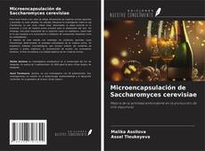 Capa do livro de Microencapsulación de Saccharomyces cerevisiae 