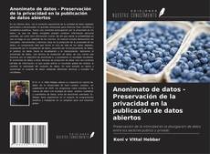 Couverture de Anonimato de datos - Preservación de la privacidad en la publicación de datos abiertos