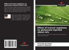Copertina di Effect of truncal vagotomy on glutamate-injected obese rats