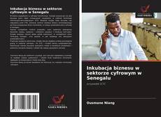 Capa do livro de Inkubacja biznesu w sektorze cyfrowym w Senegalu 