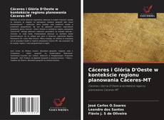 Borítókép a  Cáceres i Glória D'Oeste w kontekście regionu planowania Cáceres-MT - hoz