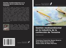 Capa do livro de Gestión medioambiental en la industria de la confección de Teresina 
