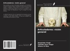 Capa do livro de Articuladores: visión general 