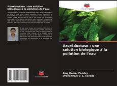 Couverture de Azoréductase : une solution biologique à la pollution de l'eau