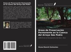 Обложка Áreas de Preservación Permanente en la Cuenca del Arroyo São Pedro