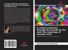 A unique trajectory through Rio Grande do Sul rock: the meanings of acoustic work kitap kapağı