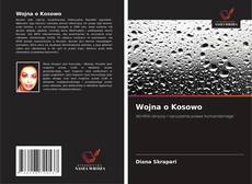 Wojna o Kosowo的封面