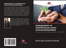 Urbanisation et interférences socio-environnementales的封面