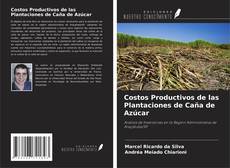 Buchcover von Costos Productivos de las Plantaciones de Caña de Azúcar