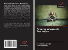 Poważne zaburzenie depresyjne的封面