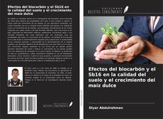 Couverture de Efectos del biocarbón y el Sb16 en la calidad del suelo y el crecimiento del maíz dulce