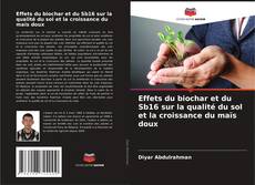Copertina di Effets du biochar et du Sb16 sur la qualité du sol et la croissance du maïs doux