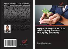 Couverture de Wpływ biowęgla i Sb16 na jakość gleby i wzrost kukurydzy cukrowej