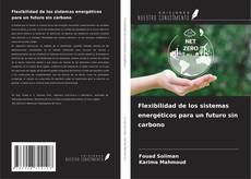 Capa do livro de Flexibilidad de los sistemas energéticos para un futuro sin carbono 