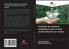Copertina di Flexibilité des systèmes énergétiques pour un futur environnement sans carbone