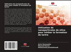 Copertina di Utilisation de nanoparticules de silice pour inhiber la formation de tartre