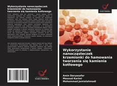 Capa do livro de Wykorzystanie nanocząsteczek krzemionki do hamowania tworzenia się kamienia kotłowego 
