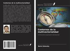 Capa do livro de Contornos de la multivectorialidad 